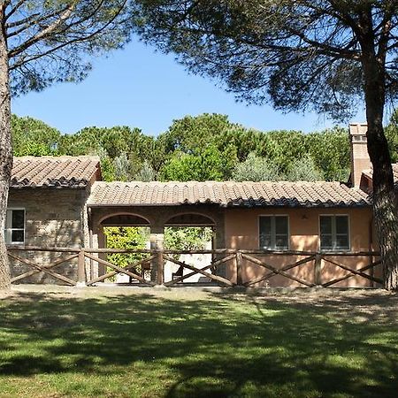 Podere Poggio Mendico アレッツォ エクステリア 写真