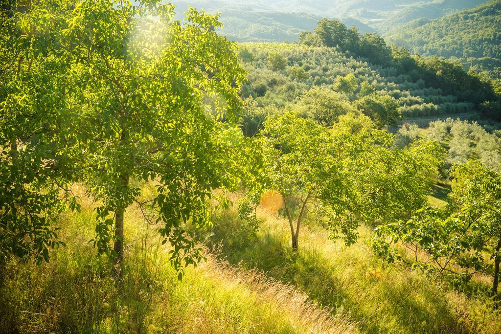 Podere Poggio Mendico アレッツォ エクステリア 写真
