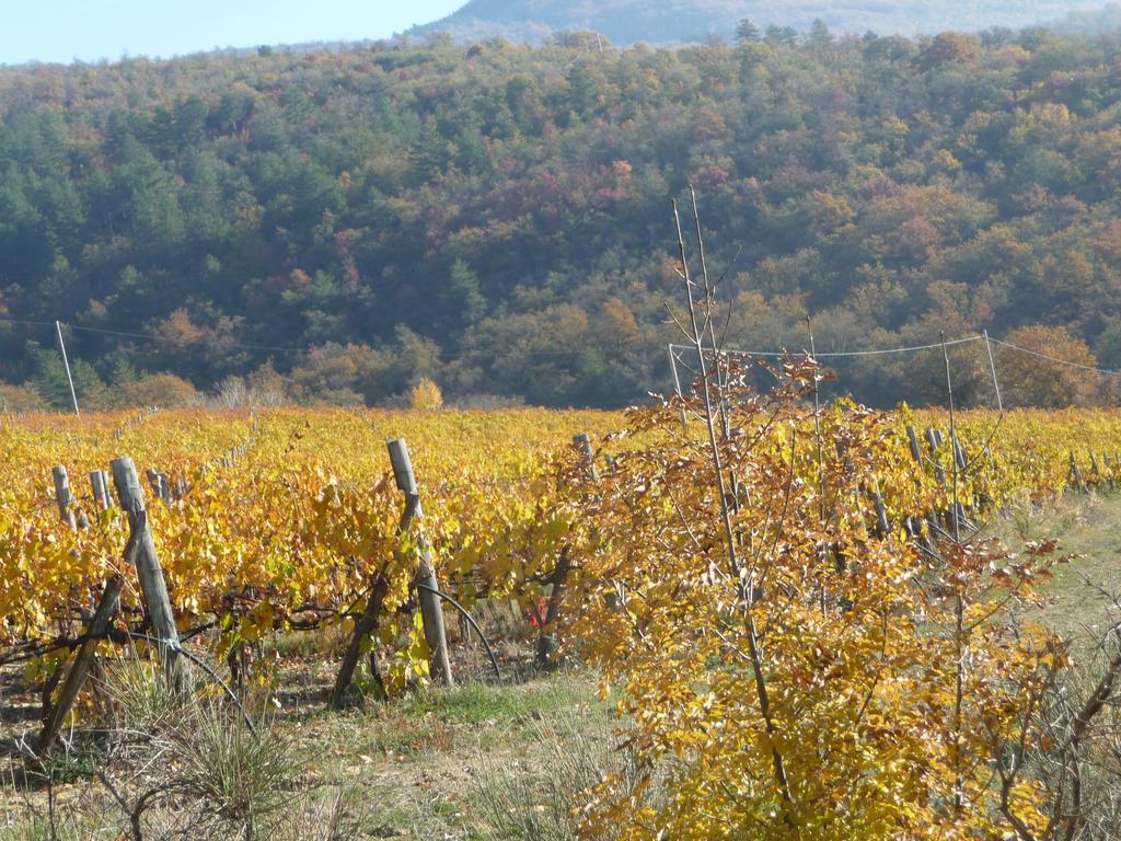 Podere Poggio Mendico アレッツォ エクステリア 写真